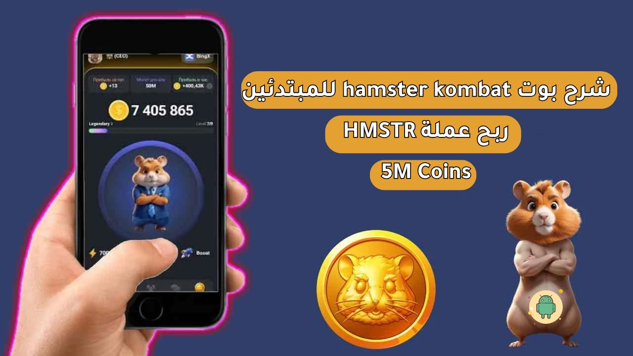 شرح بوت hamster kombat